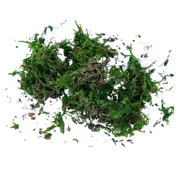  100 G Naravno Sušene Dekorativni Moss Obrti Gozd Sphagnum za lončnica
