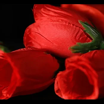  Rose 2.0 (Rdeča) Čarovniških Trikov Baklo Na Štiri Vrtnice Ogenj Za Strokovno Čarovniki Romantično Vrstica Prikazuje Prevara Plamen, Ki Se Pojavljajo